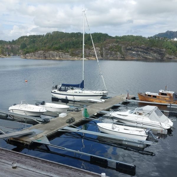 Vissen in Noorwegen - Skogsvag